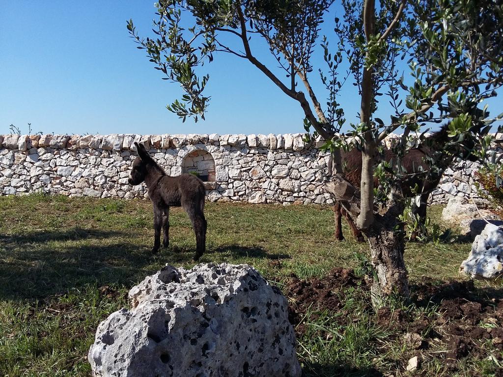 Agriturismo Masseria Casedde Vecchie Villa Martina Franca Exterior photo